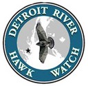 Detroit River Hawk Watch logo