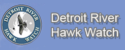 Detroit River Hawk Watch logo
